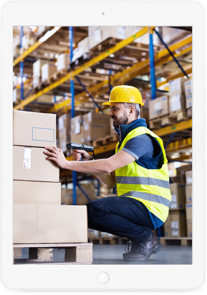 Cybernaptics offers Warehouse Management System implementation and support